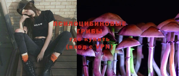 гашик Верхний Тагил