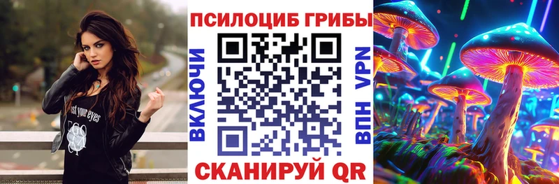 Галлюциногенные грибы Psilocybe  где найти   mega как зайти  darknet официальный сайт  Старица 