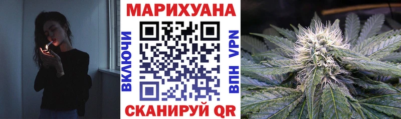 что такое   Старица  mega зеркало  Конопля OG Kush 